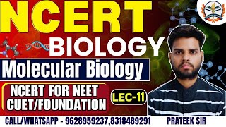 NCERT Biology Classes 2024  Molecular Biology  NCERT Complete Preparation for NEET  CUET  NCERT [upl. by Anailuig288]