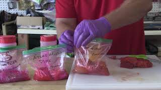 Curing Salmon Eggs With Scott Haugen [upl. by Hnil]