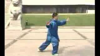 Combined Taijiquan 66 Forms [upl. by Enyawed]