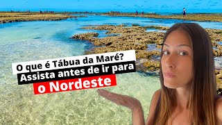 TÁBUA DA MARÉ ou TÁBUA DE MARÉ TUDO O QUE VOCÊ PRECISA SABER ANTES DE VIAJAR PARA O NORDESTE [upl. by Anin]