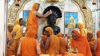 Worshiping Lord Mahavira by Digambar Jains [upl. by Jerrie]