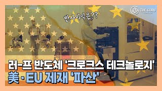 러시아·프랑스 합작 반도체 기업 파산…원인은 美·EU 제재 [upl. by Patti207]