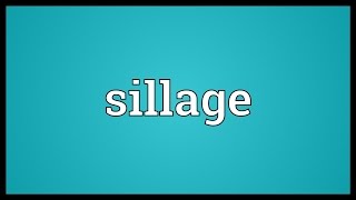 Sillage Meaning [upl. by Lluj]