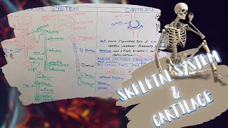 Introduction to Skeletal System amp Cartilage شرح بالعربى [upl. by Ettenuj]