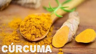 Açafrão da terra ou curcuma como plantar curcuma colher e conservar [upl. by Eirene61]