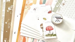 Alexandra Renke Papierbox September 2024 alexandrarenke haul unboxing [upl. by Fisk286]