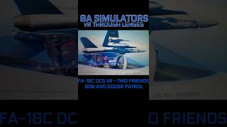 FA18C DCS VR  TWO FRIENDS AT WORK BOB AND GOOSE PATROL 8asims 8asimulators dcsvr fa18c [upl. by Ardme]