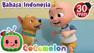 Pergi Mencari BINGO🐶  CoComelon  Kartun dan Lagu Anak  Moonbug Kids Indonesia  Nursery Rhymes [upl. by Anayad]