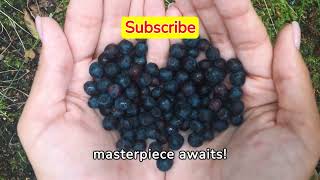 HYDROPONIC SYSTEM  Hydroponic Blueberries Farming At Home hydroponicsystem hydroponicblueberries [upl. by Raycher]