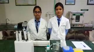 Albumin test by BCG method performed by paramedical students [upl. by Larissa90]