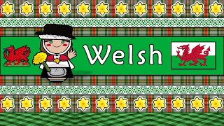 WELSH PEOPLE CULTURE amp LANGUAGE [upl. by Einahpats]