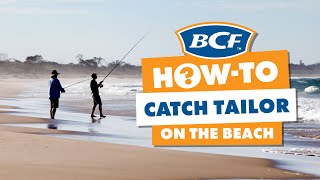 How to Catch Tailor  Beach Fishing [upl. by Akimrej558]