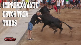 IMPRESIONANTES LOS TRES TOROS [upl. by Gwendolen910]