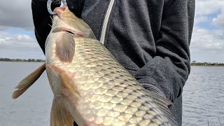 The TRUTH about eating CARP [upl. by Barton773]