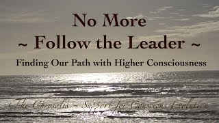 No More Follow the Leader  Finding Our Path with Higher Consciousness [upl. by Cathryn]