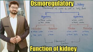 Osmoregulatory function of kidney in urdu  Hypotonic  Hypertonic  class 10  Ch 11 [upl. by Aiyot]