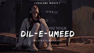 Dil E Umeed Tora Hai Kisi Ne  SlowedReverb  Feelers Music [upl. by Ellicec]