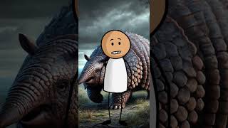 Unknown Fact About Glyptodonreel reels facts viralvideo viral funny all [upl. by Darrin]