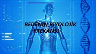 ✅İnsan Bedeninin Biyolojik Frekansı [upl. by Kreindler693]