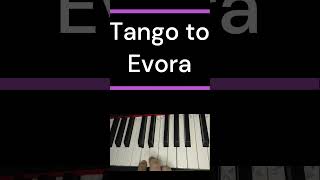 Tango to Evora Loreena McKennitt shorts piano pianocover 90s loreenamckennitt [upl. by Yriek]