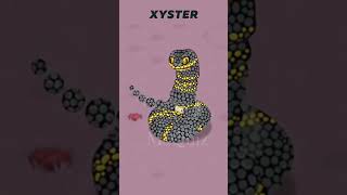 Xyster My Singing Monsters Transform Real Animals [upl. by Esertak]