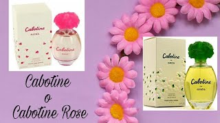 Cabotine o Cabotine Rose [upl. by Ramoh987]