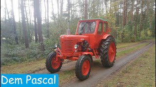 RUSSEN TRECKER  Belarus MTS 50 MTZ 19611985 Oldtimervorstellung Dem Pascal [upl. by Bettencourt]