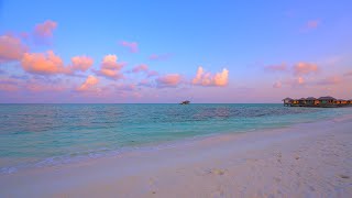 🏝 Paradise Found Maldives Beach and Crystal Turquoise Waters Ocean 4K Ultra HD [upl. by Pinebrook292]