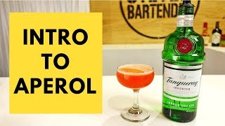 Intro to Aperol Cocktail Recipe by Audrey Saunders Pegu Club [upl. by Vanny371]