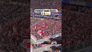 Eintracht Frankfurt gegen Bayern München 33 amp Alle Tore Highlights amp Omer marmoush  Olise Tore [upl. by Okomom]