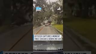 Police officer captures tree crashing down on car in Florida [upl. by Etnaihc732]