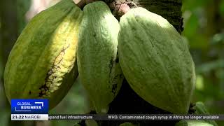 Nigeria aims to ramp up cocoa production amid global shortages [upl. by Caraviello964]