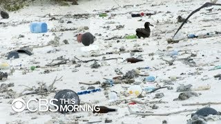 Ambitious effort to clean up quotgreat Pacific garbage patchquot gets underway [upl. by Adaline]