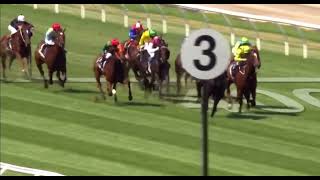 Flashback Friday  2011 Newmarket Handicap  Black Caviar [upl. by Aelrac]