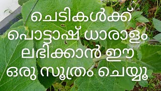 ഇതു നിങ്ങൾക്ക് തീർച്ചയായും ഉപകാരപ്പെടും  urbanroots9 [upl. by Anuayek906]