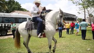 Elmer Y su Caballo [upl. by Pax]