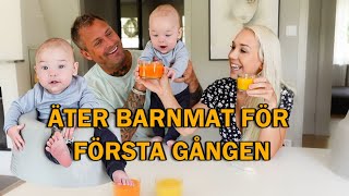 BEBIS ÄTER PURÉMAT FÖR FÖRSTA GÅNGEN [upl. by Quiteris825]