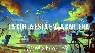 Farruko Bad Bunny  La Cartera LyricsLetra [upl. by Asehr]