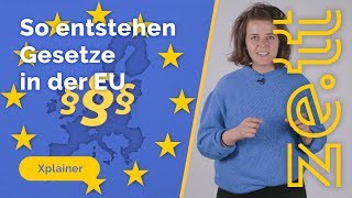 So entstehen Gesetze in der Europäischen Union [upl. by Clite]