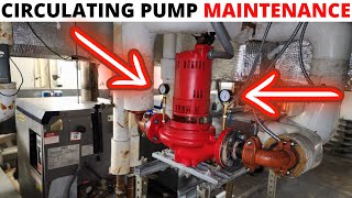 HVAC Boiler Hydronic Circulating Pump Maintenance How To Pull And Clean Strainer For Boiler Pump [upl. by Aiepoissac]