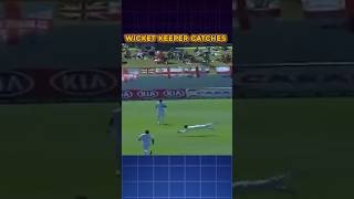 Top 3 Best Wicket Keeper Catches In Cricket History 😱 cricket shorts viratkohli viralvideo [upl. by Dnalsor896]