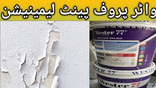 Waterproof your walls  Expert tips for lasting protection [upl. by Allrud]