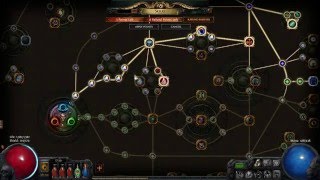 Path of Exile Skill Tree Basics [upl. by Ocirred]