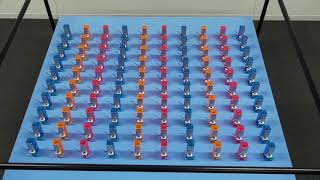 Quantum Synchronisation of 100 metronomes [upl. by Hallee]