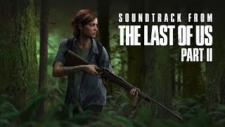 Crooked Still  Ecstasy Instrumental from The Last of Us Part II [upl. by Housum]