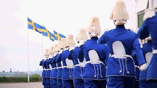 Swedish Military Parade [upl. by Stepha]