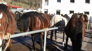 Feria ganadera ProazaAsturias [upl. by Viccora]