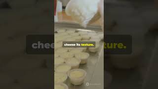 Science Behind Cheese Making CheeseMaking FoodProduction CheeseLovers GourmetCheese [upl. by Sontag]