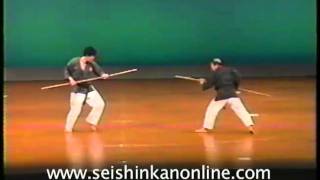 Yogi Yosei 8th Dan Matayoshi Kobudo Bo vs Bo [upl. by Ailad]