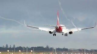 Adelaide Airport Foggy Arrivals  737s and A320s [upl. by Noyad]